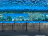 サンシャイン水族館に投稿された画像（2024/11/17）