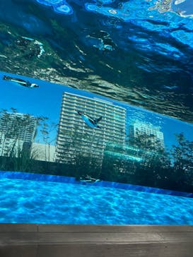 サンシャイン水族館に投稿された画像（2024/11/17）