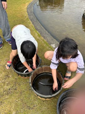 戸村川魚店　香取本店に投稿された画像（2024/11/17）