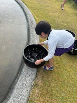 戸村川魚店　香取本店に投稿された画像（2024/11/17）