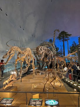 福井県立恐竜博物館に投稿された画像（2024/11/17）