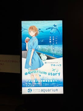 サンシャイン水族館に投稿された画像（2024/11/17）