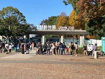 恩賜上野動物園に投稿された画像（2024/11/17）