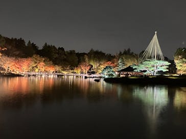 国営昭和記念公園 秋の夜散歩に投稿された画像（2024/11/17）