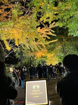 国営昭和記念公園 秋の夜散歩に投稿された画像（2024/11/17）