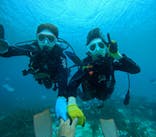 青の洞窟専門店　沖縄ダイビングショップ和に投稿された画像（2024/11/17）