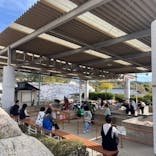 ストーンミュージアム博石館に投稿された画像（2024/11/17）