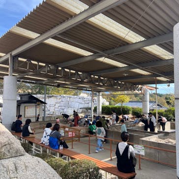 ストーンミュージアム博石館に投稿された画像（2024/11/17）