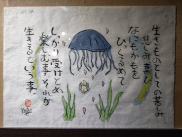 竹島水族館に投稿された画像（2024/11/17）