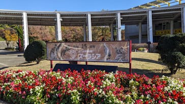 よこはま動物園ズーラシアに投稿された画像（2024/11/17）