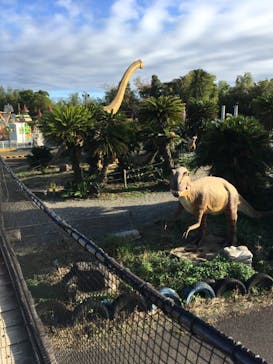 伊豆ぐらんぱる公園に投稿された画像（2024/11/17）