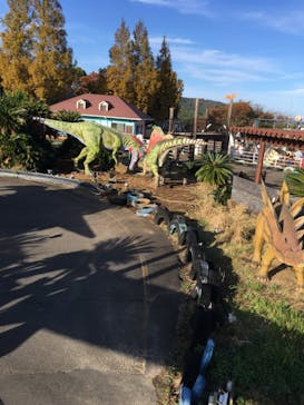 伊豆ぐらんぱる公園に投稿された画像（2024/11/17）