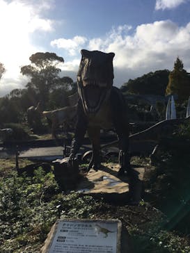 伊豆ぐらんぱる公園に投稿された画像（2024/11/17）