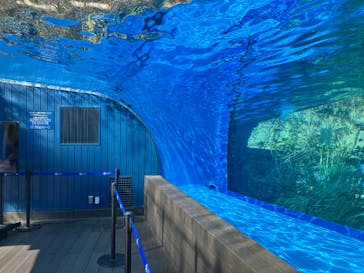 サンシャイン水族館に投稿された画像（2024/11/17）