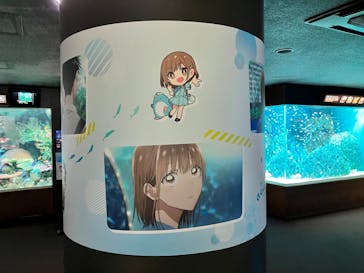 サンシャイン水族館に投稿された画像（2024/11/17）
