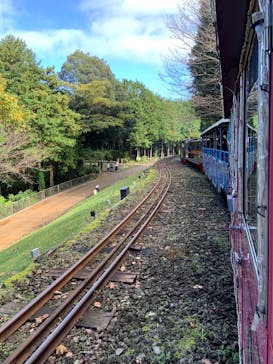 修善寺虹の郷に投稿された画像（2024/11/17）