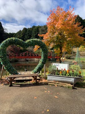 修善寺虹の郷に投稿された画像（2024/11/17）