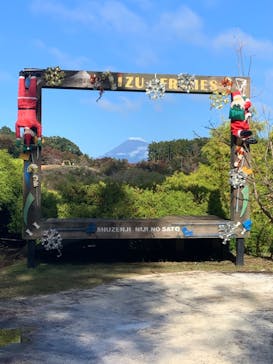 修善寺虹の郷に投稿された画像（2024/11/17）