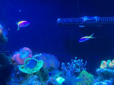 マクセル アクアパーク品川に投稿された画像（2024/11/17）