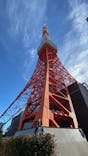 東京タワーに投稿された画像（2024/11/17）