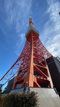 東京タワーに投稿された画像（2024/11/17）