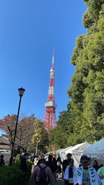 東京タワーに投稿された画像（2024/11/17）