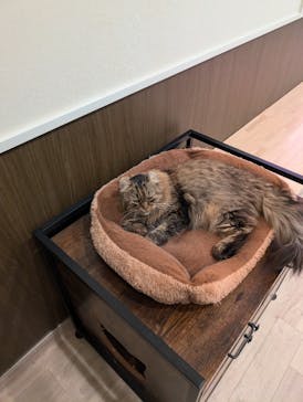 つくばわんわんランドに投稿された画像（2024/11/17）