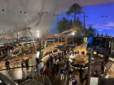 福井県立恐竜博物館に投稿された画像（2024/11/17）