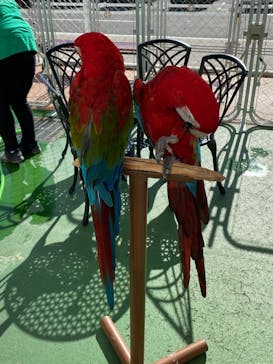 アニタッチPARKイオンモール太田に投稿された画像（2024/11/17）