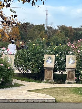 京成バラ園に投稿された画像（2024/11/17）