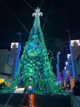 ひらかたパークに投稿された画像（2024/11/17）