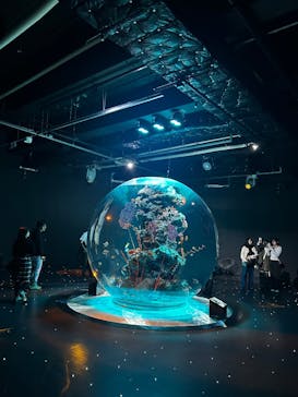 AQUARIUM × ART　atoaに投稿された画像（2024/11/17）