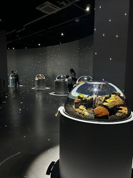 AQUARIUM × ART　atoaに投稿された画像（2024/11/17）