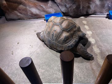 AQUARIUM × ART　atoaに投稿された画像（2024/11/17）