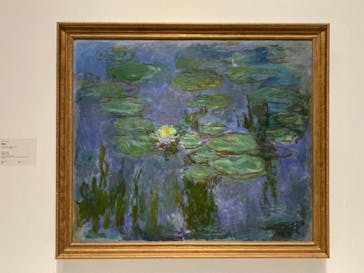 モネ 睡蓮のとき（国立西洋美術館）に投稿された画像（2024/11/17）