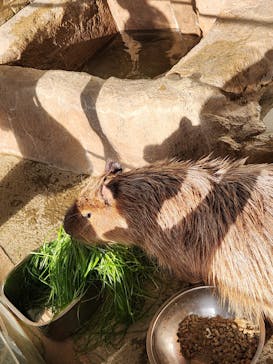 新江ノ島水族館に投稿された画像（2024/11/17）