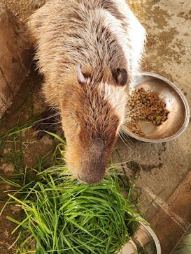 新江ノ島水族館に投稿された画像（2024/11/17）