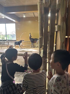 よこはま動物園ズーラシアに投稿された画像（2024/11/17）