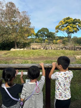 よこはま動物園ズーラシアに投稿された画像（2024/11/17）