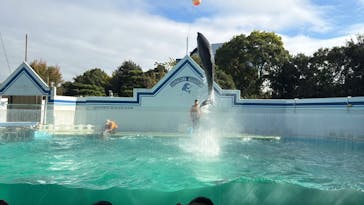 しながわ水族館に投稿された画像（2024/11/17）
