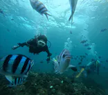 武藤潜水に投稿された画像（2024/11/17）