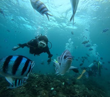 武藤潜水に投稿された画像（2024/11/17）