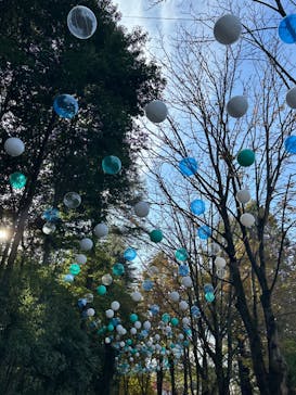 ムーミンバレーパークに投稿された画像（2024/11/17）