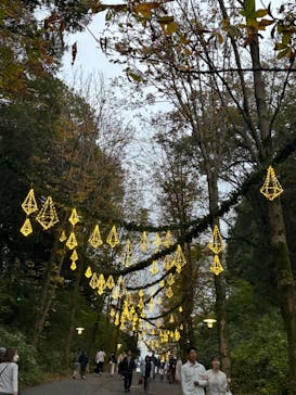 ムーミンバレーパークに投稿された画像（2024/11/17）