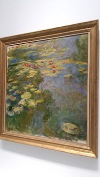 モネ 睡蓮のとき（国立西洋美術館）に投稿された画像（2024/11/17）