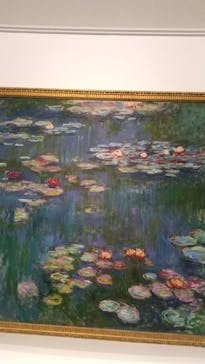 モネ 睡蓮のとき（国立西洋美術館）に投稿された画像（2024/11/17）