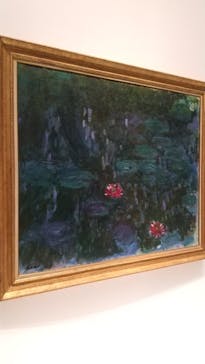 モネ 睡蓮のとき（国立西洋美術館）に投稿された画像（2024/11/17）