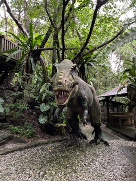 御菓子御殿　名護店　やんばる亜熱帯の森DINO恐竜PARKに投稿された画像（2024/11/17）