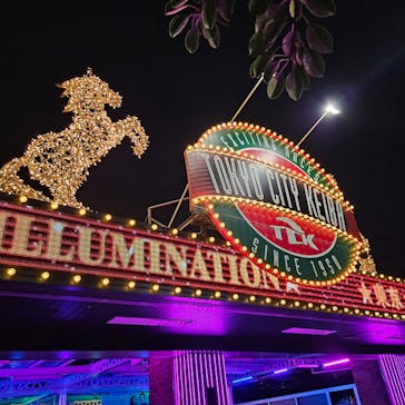 東京メガイルミに投稿された画像（2024/11/17）