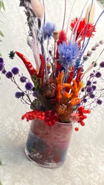 ずこうしつ〜sugamo〜に投稿された画像（2024/11/17）